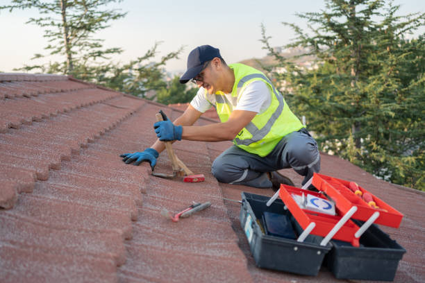 Best Metal Roofing Contractor  in Bolinas, CA